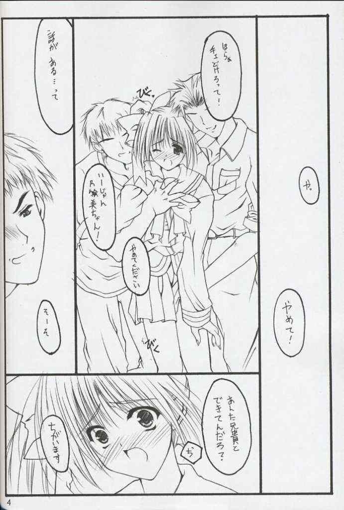 (C63) [THE FLYERS (Naruse Mamoru)] Extra (With You ～ Mitsumete Itai ～) page 3 full