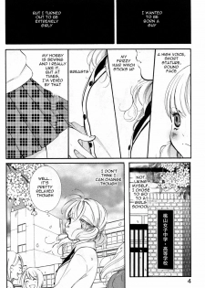 petit_wildrose(ENG) - page 5