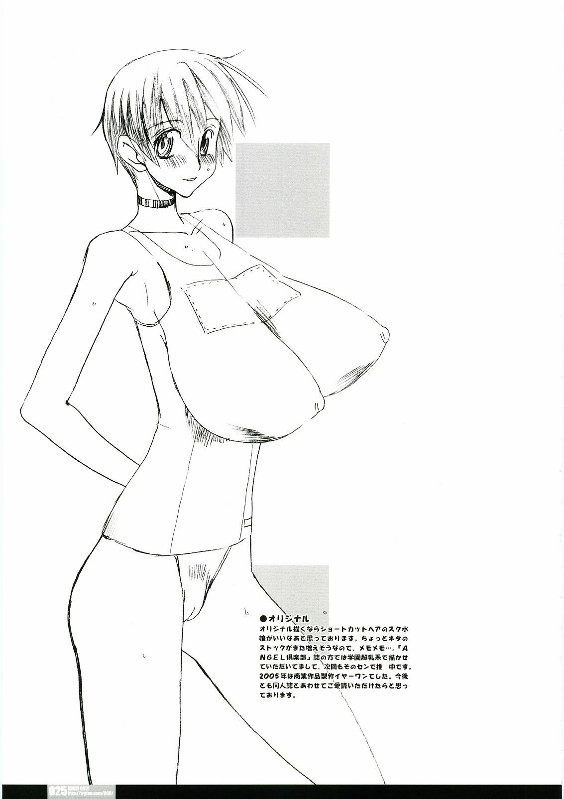 (C69) [HGH (HG Chagawa)] Pleated Gunner #14 - Night Hawks 2 (Gundam SEED DESTINY) page 24 full