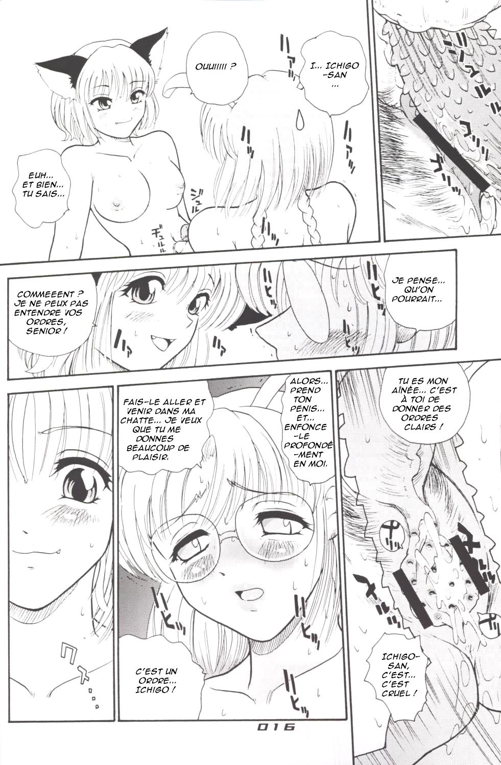 (CR33) [Behind Moon (Q)] Hamekko Doubutsu (Tokyo Mew Mew) [French] page 15 full