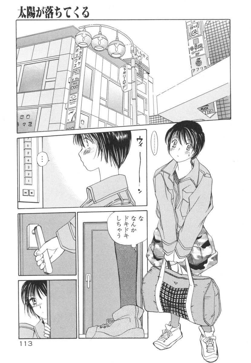 [Saki Kaori] Taiyou ga Ochite Kuru Vol.2 page 113 full