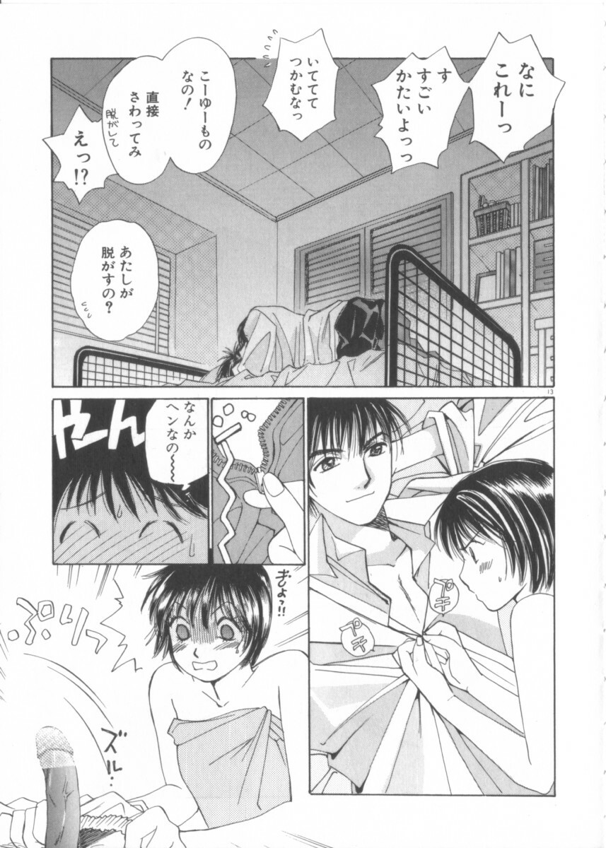 [Saki Kaori] Taiyou ga Ochite Kuru Vol.3 page 13 full