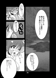 (C69) [Fetch (@Momoyama)] Lovesugi XI MANIAX (Final Fantasy XI) - page 24