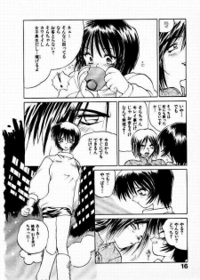 [Yamamoto Kenji] Seiken Cinderella - page 17