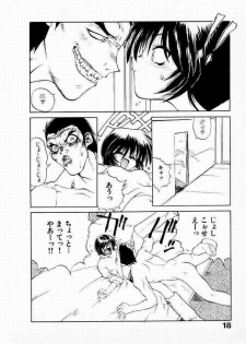 [Yamamoto Kenji] Seiken Cinderella - page 19