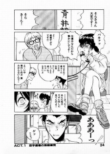 [Yamamoto Kenji] Seiken Cinderella - page 25
