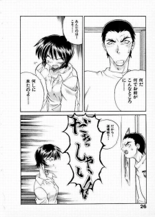 [Yamamoto Kenji] Seiken Cinderella - page 27
