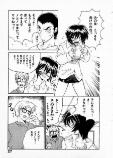 [Yamamoto Kenji] Seiken Cinderella - page 28