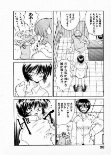 [Yamamoto Kenji] Seiken Cinderella - page 29