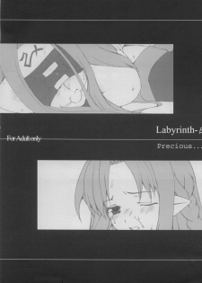 (CR35) [Precious... (Haoto Luna)] Labyrinth-β (Fate/stay night)