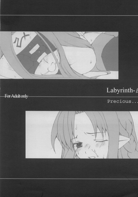 (CR35) [Precious... (Haoto Luna)] Labyrinth-β (Fate/stay night)