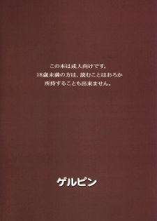 (C75) [Gerupin (Minazuki Juuzou)] Hakkou Hime to Tsuntsun Megane (Gundam 00) [English] [Anonymous Scanner] - page 18