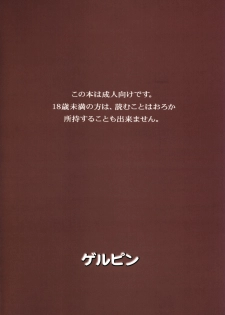 (C75) [Gerupin (Minazuki Juuzou)] Hakkou Hime to Tsuntsun Megane (Gundam 00) - page 18