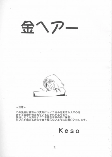 [Skirt Tsuki (keso)] Kin Hair kaitei ban | Blonde (Mobile Suit Gundam) [English] [desudesu] - page 2