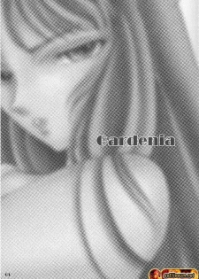 [Momoiro-Rip (Sugar Milk)] Gardenia (Saint Seiya) [Spanish] [ssEliseum] - page 2