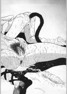 (C58) [ENERGYA (Russia no Dassouhei)] COLLECTION OF -SAILORMOON- ILLUSTRATIONS FOR ADULT Vol.5 (Bishoujo Senshi Sailor Moon) - page 23