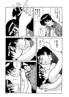 [Yamamoto Kenji] Fall in Love - page 15