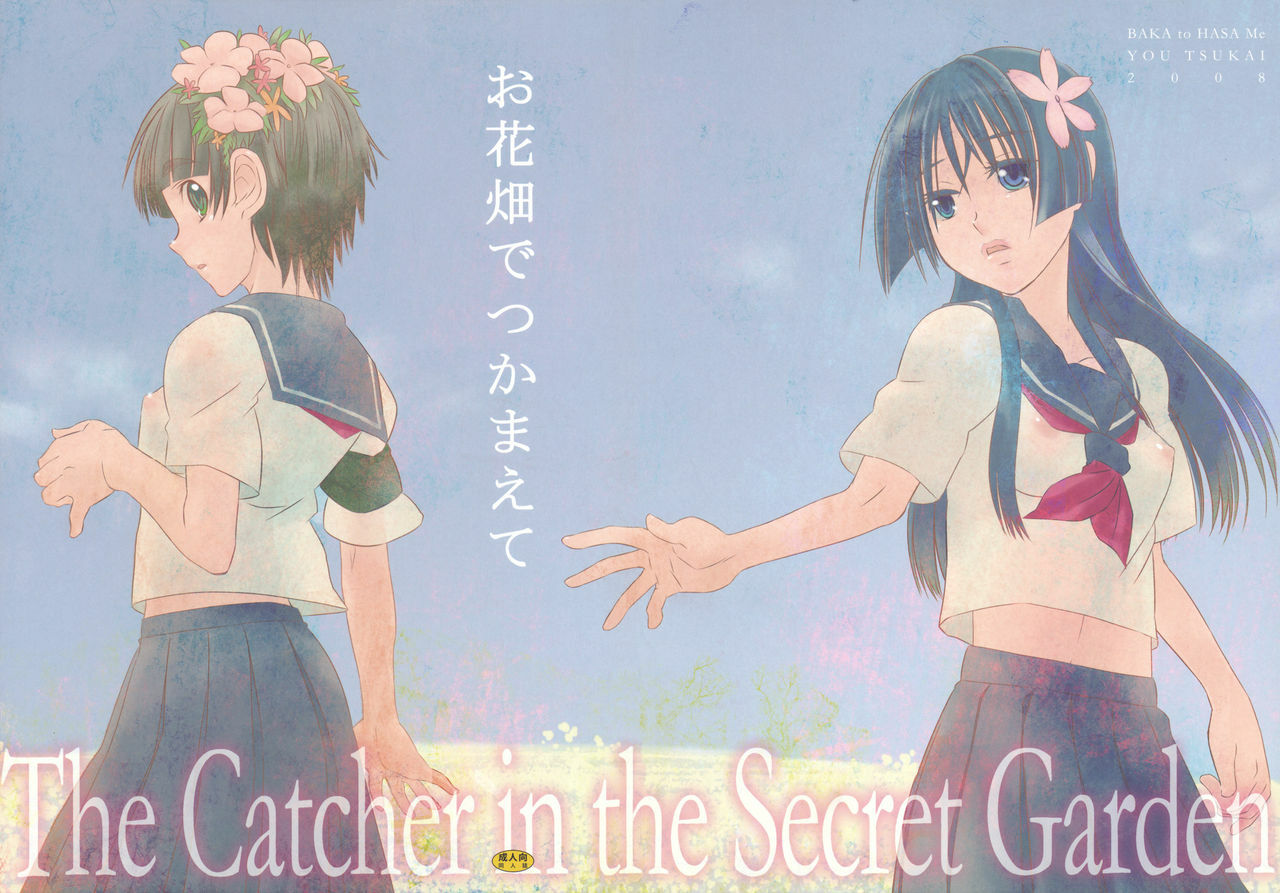 (C75) [BAKA to HASA me (Tsukai You)] Ohanabatake de Tsukamaete - The Catcher in the Secret Garden (Toaru Kagaku no Railgun) page 27 full
