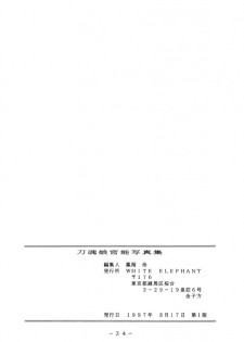 [WHITE ELEPHANT] 刀魂娘官能写真集 - page 31