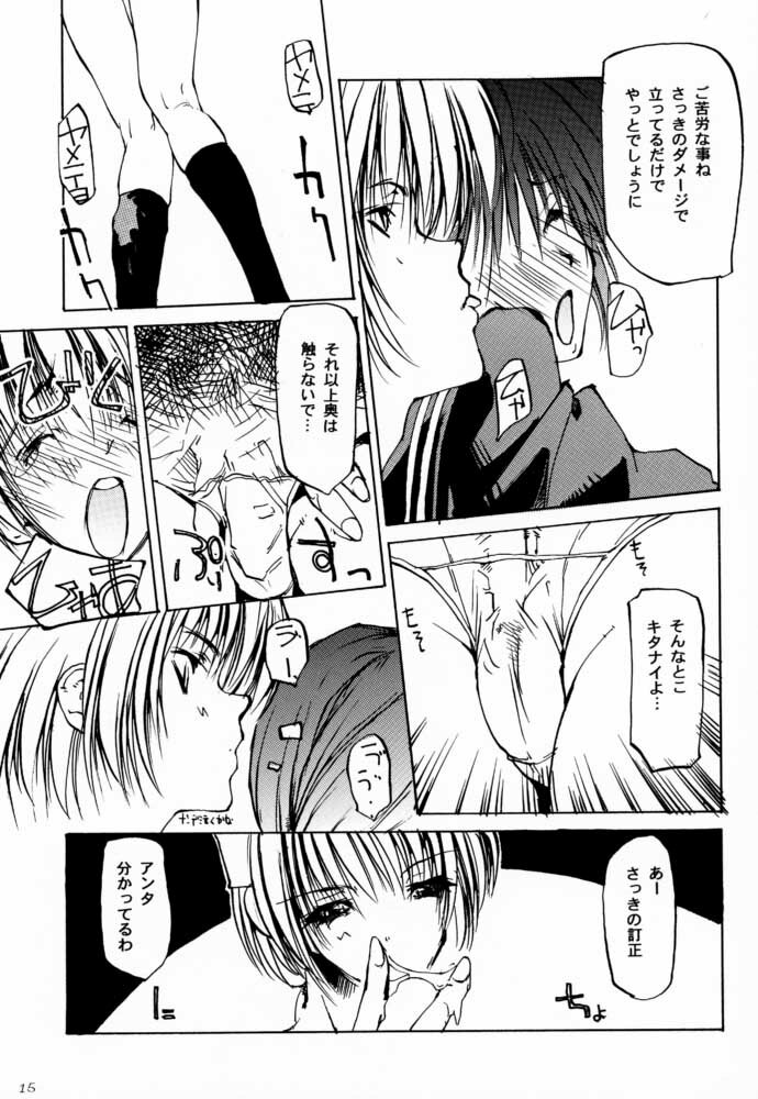 (CR27) [Yuuhodou (TekuTeku)] two eyes (Dead or Alive) page 14 full