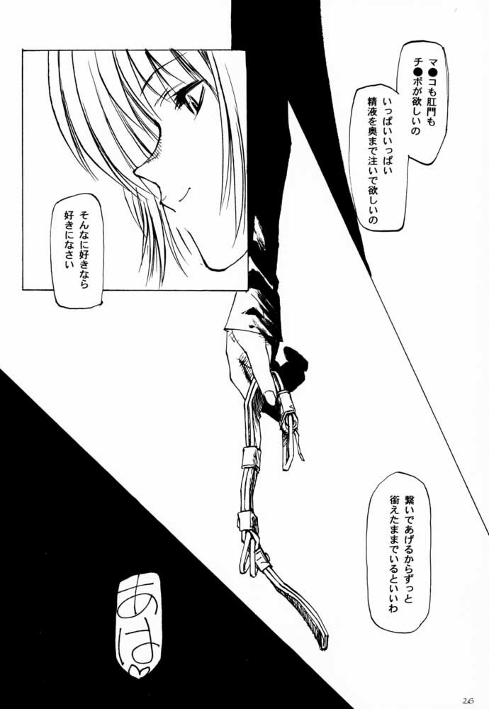(CR27) [Yuuhodou (TekuTeku)] two eyes (Dead or Alive) page 25 full