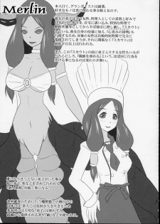 (C75) [FONETRASON (Ryutou)] Shield Knight Elsain Vol.6 Hidra Squeezer - page 30