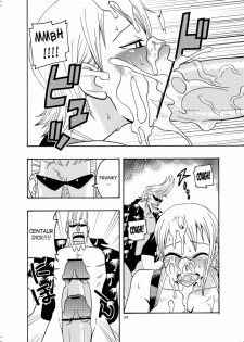 (C71) [ACID-HEAD (Murata.)] Nami no Ura Koukai Nisshi 2 (One Piece) [English] [SaHa] - page 25
