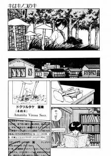 [Moriyama Toh] Ki wa Kinoko no Ki - page 14