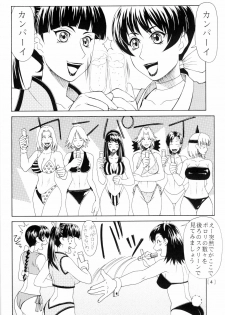 (C63) [Aruto-ya (Suzuna Aruto)] Mikicy Vol. 2 (Dead or Alive, Gyakuten Saiban) - page 5
