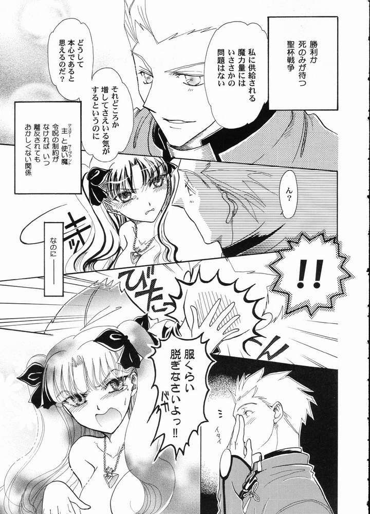 (C65) [Hanakaidou (Hanakaidou Yukio)] The Plastic Moon (Fate/stay night) page 14 full