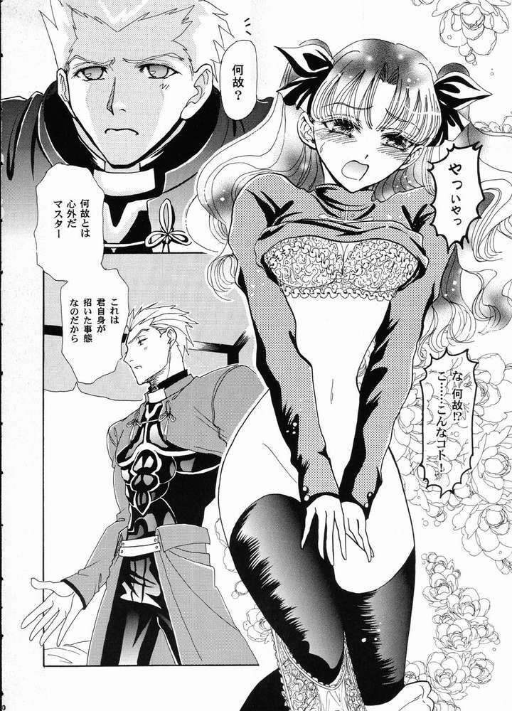 (C65) [Hanakaidou (Hanakaidou Yukio)] The Plastic Moon (Fate/stay night) page 7 full