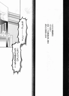 (C65) [Hanakaidou (Hanakaidou Yukio)] The Plastic Moon (Fate/stay night) - page 6
