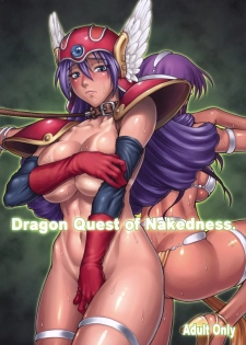 (SC42) [Nagaredamaya (Various)] DQN.GREEN (Dragon Quest of Nakedness. GREEN) (Dragon Quest) - page 1