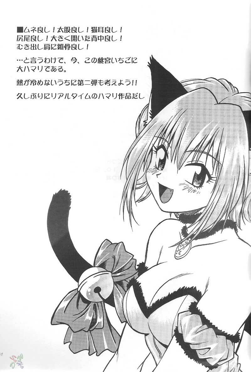 (CR32) [Studio Katsudon (Manabe Jouji)] Tokyo Myu Myu (Tokyo Mew Mew [Mew Mew Power]) (Portuguese) page 39 full