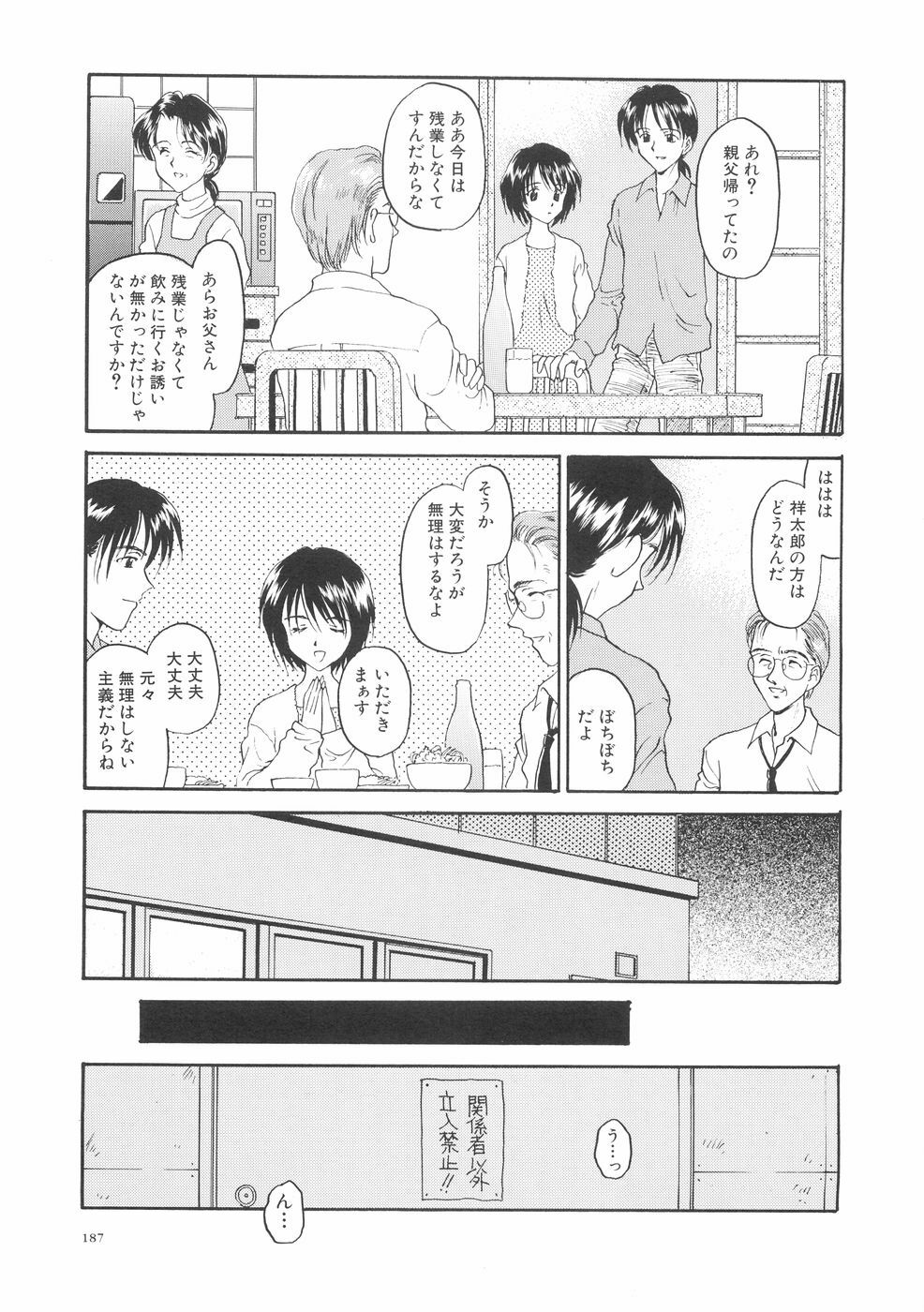[Kageno Illyss] Hontouni Taisetsu na Mono - The really important one. page 191 full