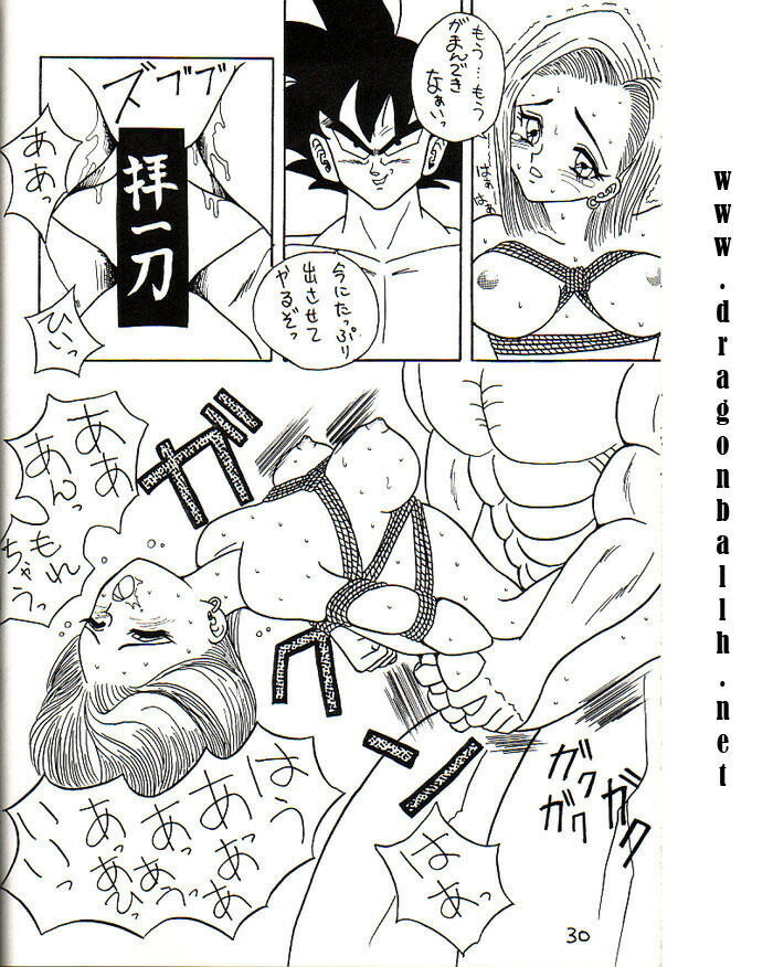 [Titikuro Sanbo] Oku-sama wa 18-gou (Dragon Ball Z) page 17 full
