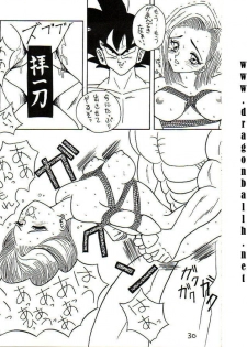 [Titikuro Sanbo] Oku-sama wa 18-gou (Dragon Ball Z) - page 17
