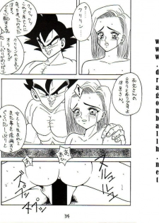 [Titikuro Sanbo] Oku-sama wa 18-gou (Dragon Ball Z) - page 21