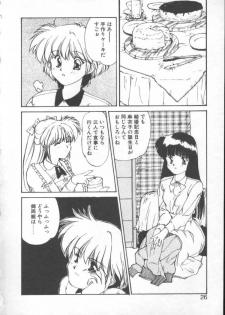 [Nishiki Yoshimune] Fairy Counter - page 24