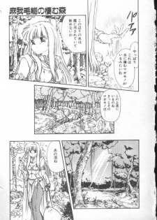 [Nishiki Yoshimune] Fairy Counter - page 43