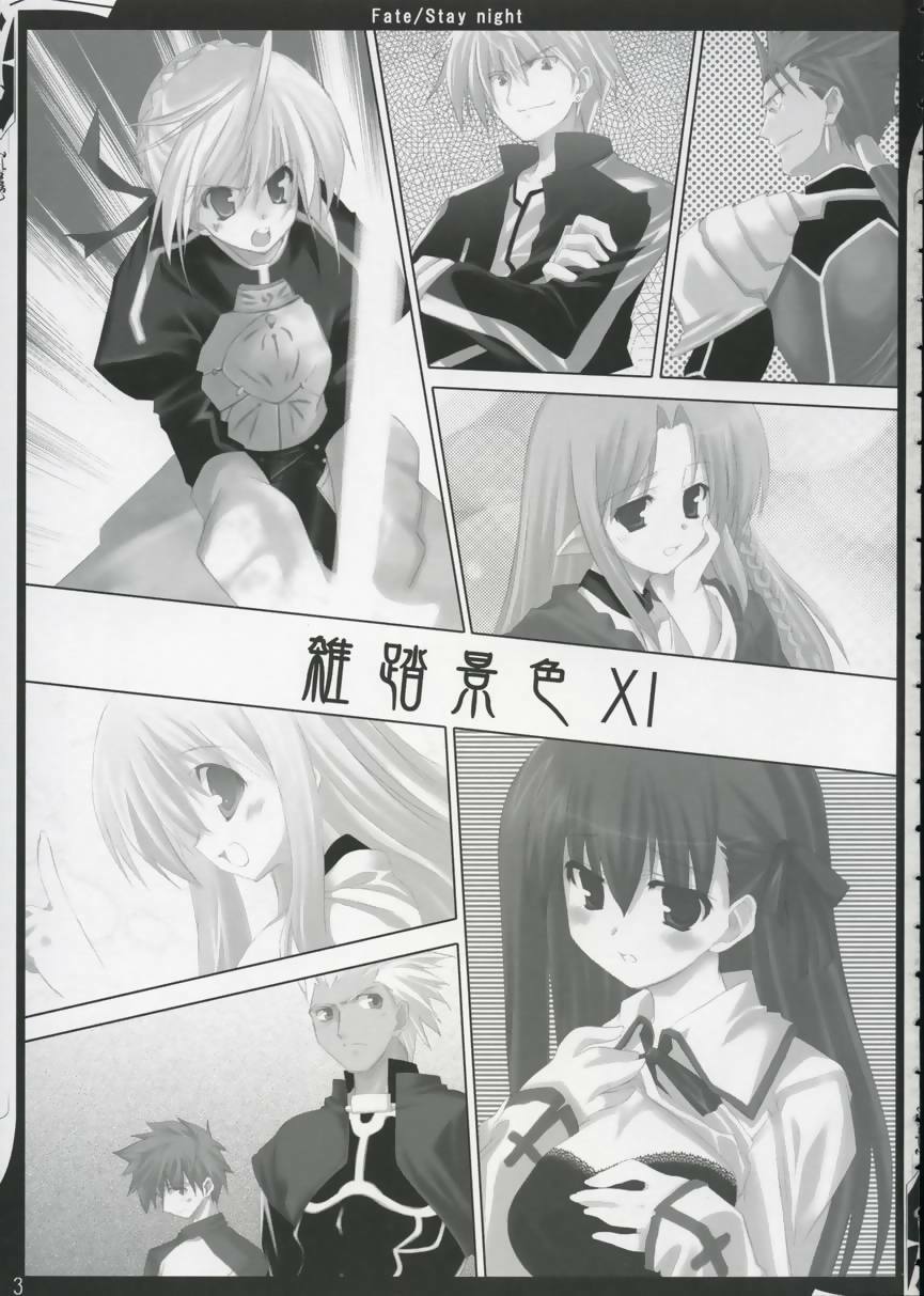 (SC24) [Zattou Keshiki (10mo)] ZATTOU KESHIKI 11 (Fate/stay night) page 2 full