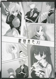 (SC24) [Zattou Keshiki (10mo)] ZATTOU KESHIKI 11 (Fate/stay night) - page 2
