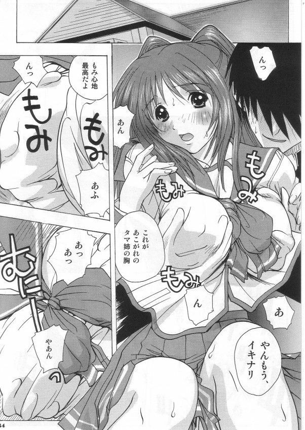 [Ucky Labo (Kika = Zaru)] Tamane & Konomi (ToHeart 2) page 33 full