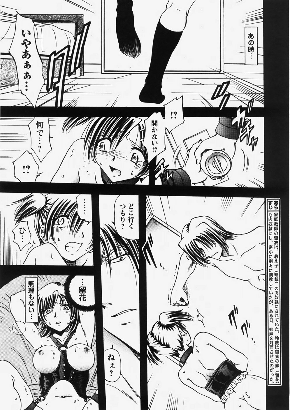 COMIC Himedorobow 2007-10 page 258 full