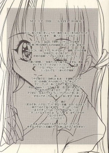 (C60) [GAZEL FORM (Mafuyu no Suika)] PINK PRISONER -Extended Mix- (Sister Princess) - page 2