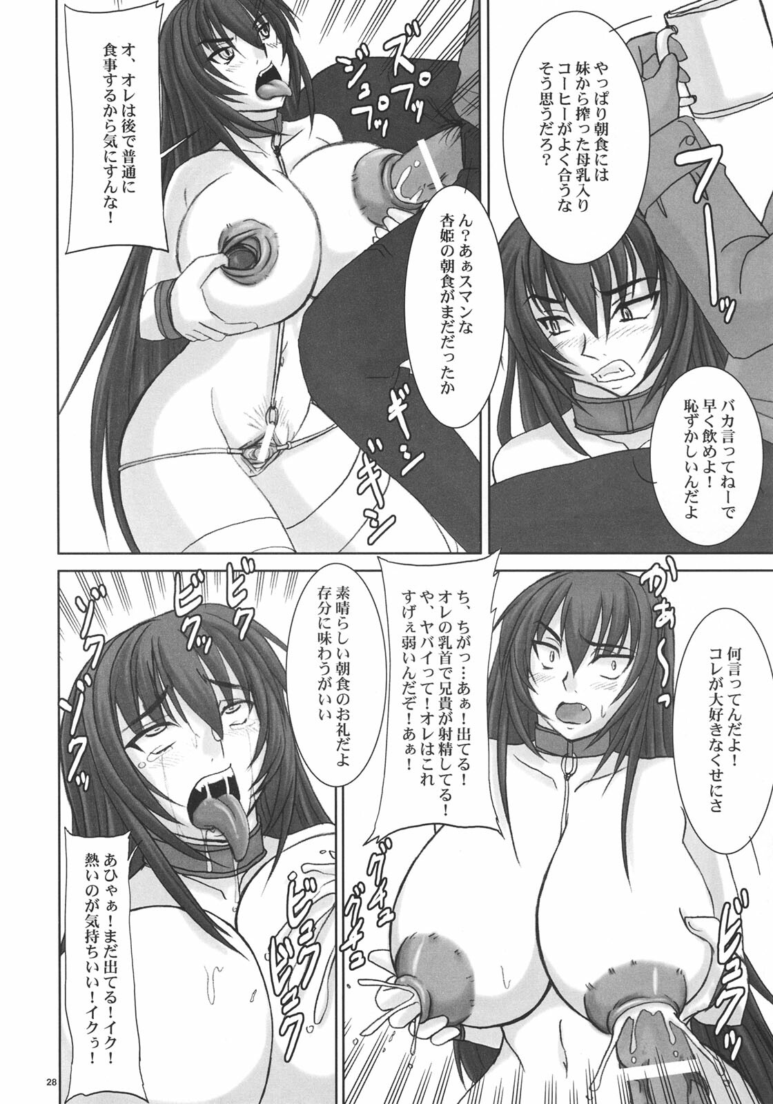 (C70) [Nozarashi (Nozarashi Satoru)] Kyouhime-sama wa Nikubenki page 27 full