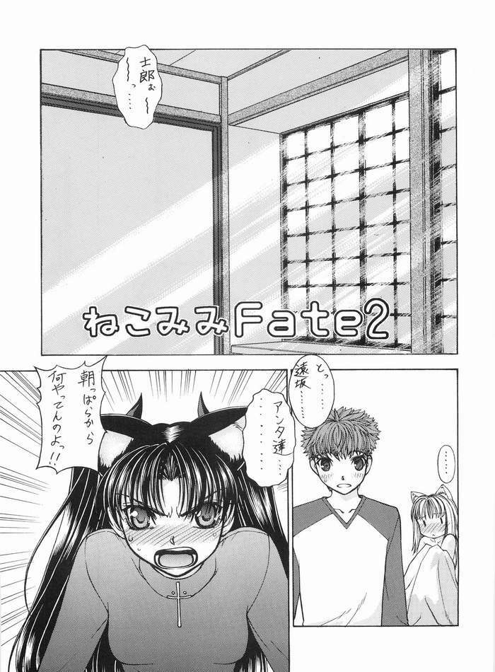 (C68) [Sanazura Doujinshi Hakkoujo (Sanazura Hiroyuki)] Nekomimi Fate 2 (Fate/stay night) page 5 full