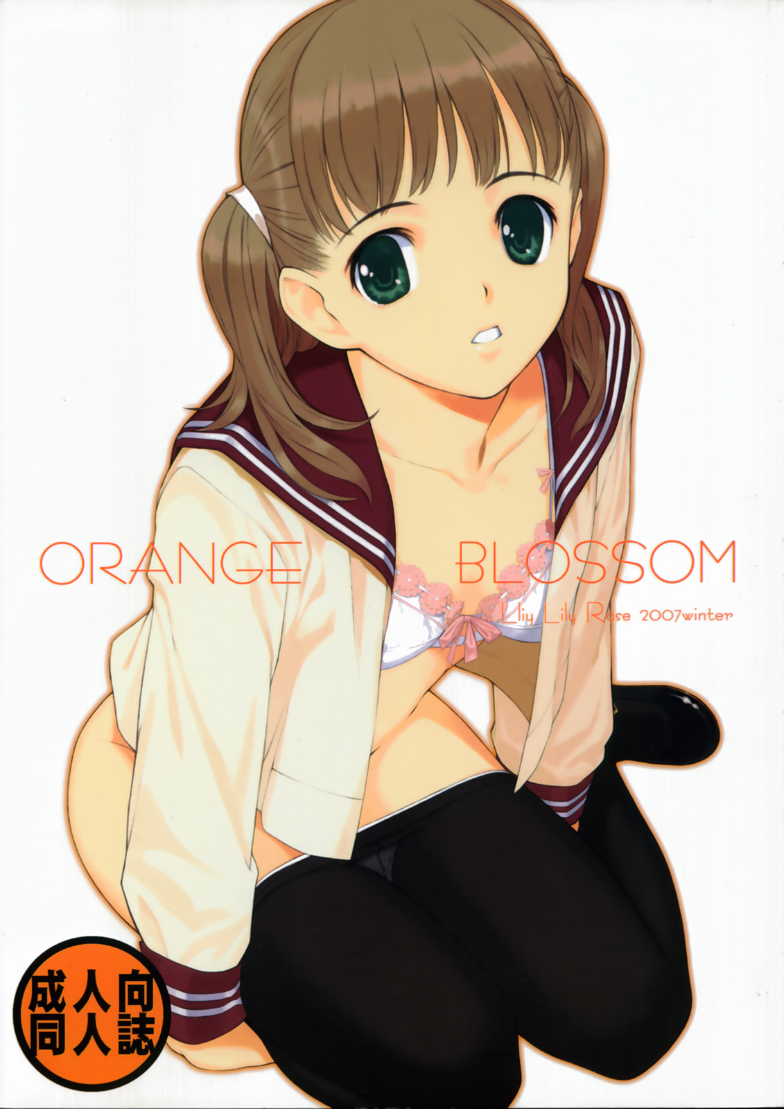 (C73) [Lily Lily Rose (Mibu Natsuki)] ORANGE BLOSSOM page 1 full