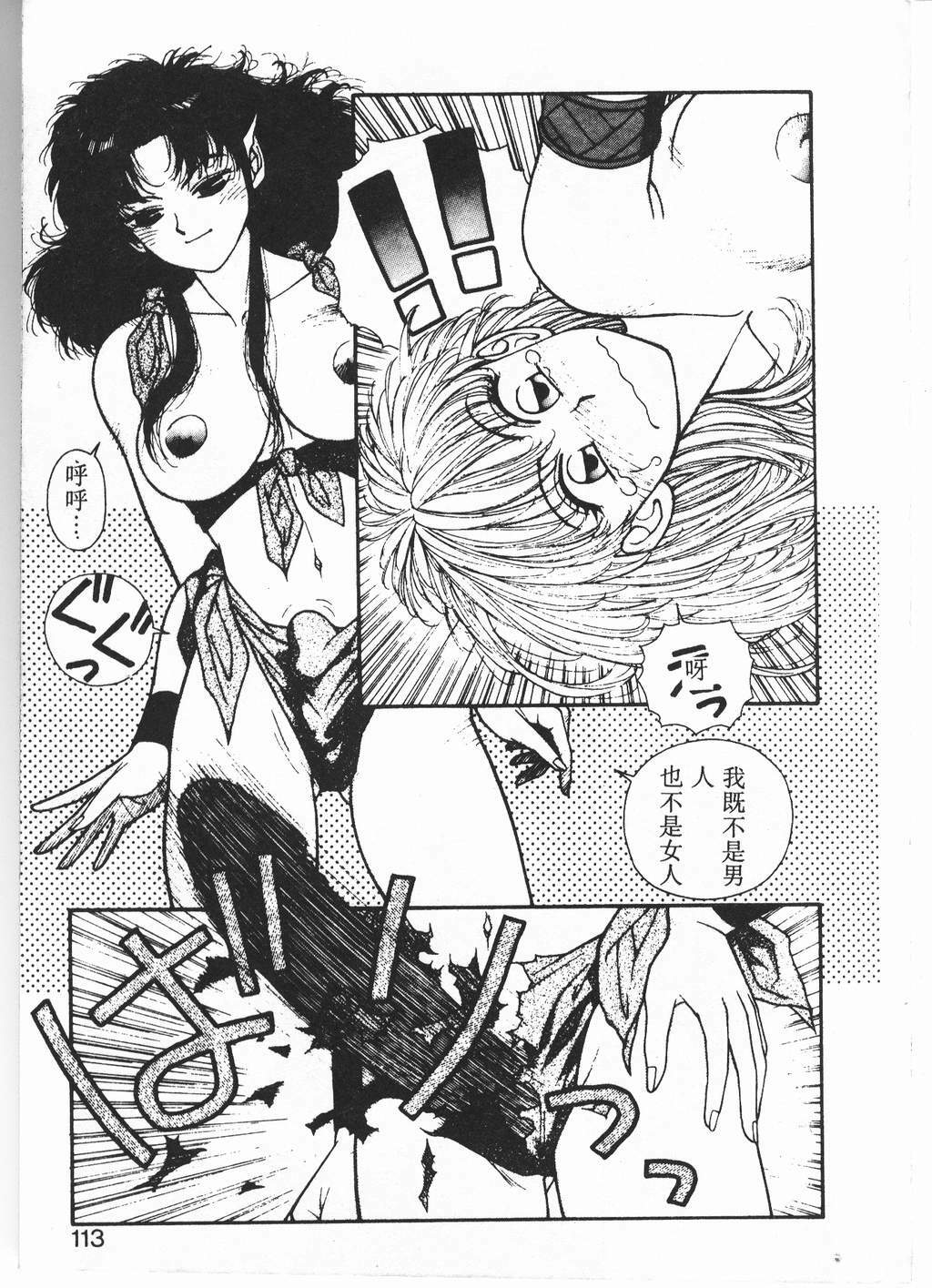 [Yui Toshiki] Princess Quest Saga [Chinese] page 110 full