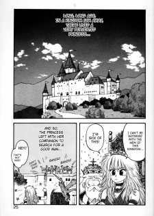 [Yui Toshiki] Princess Quest Saga [English] [SaHa] - page 25